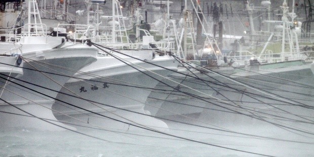 Japon: le typhon Chanthu s'approche de Tokyo  - ảnh 1